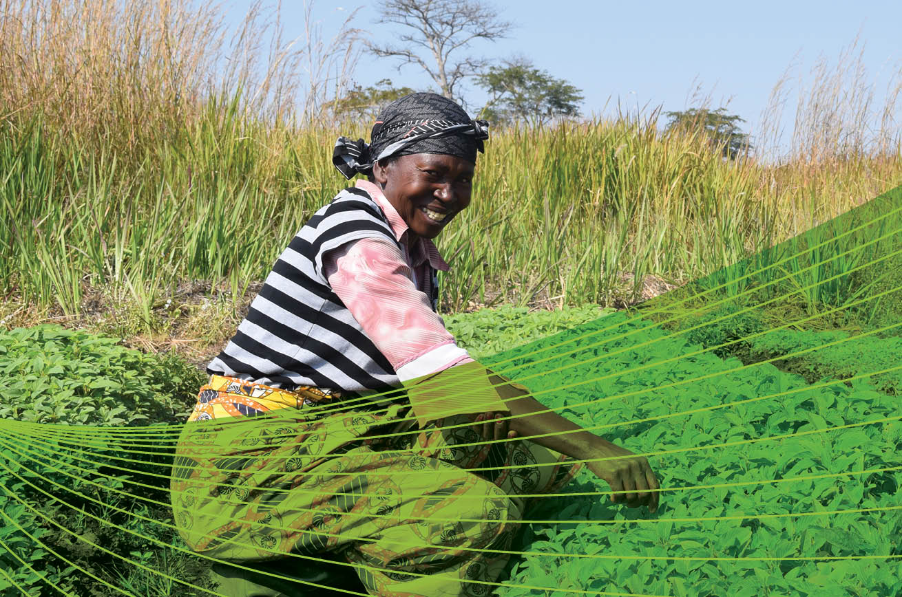 We minimise our impact